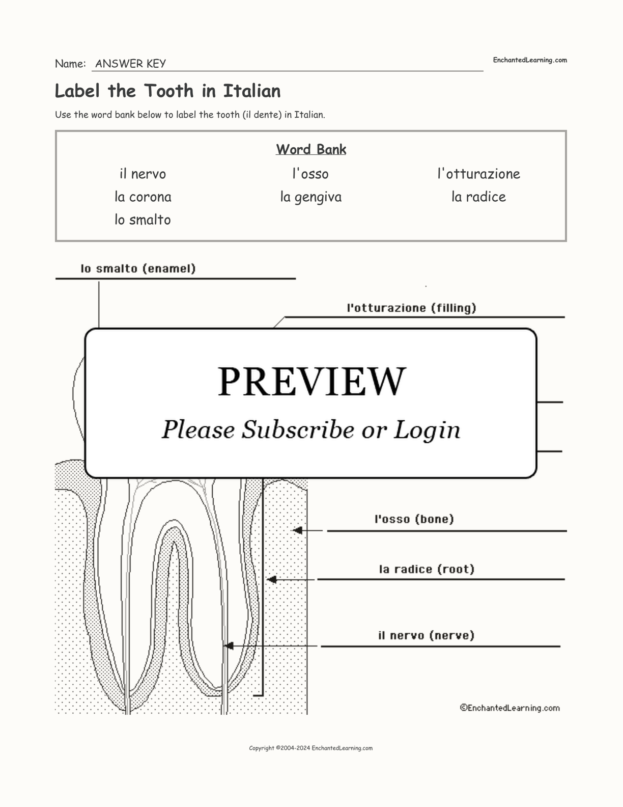 Label the Tooth in Italian interactive worksheet page 2