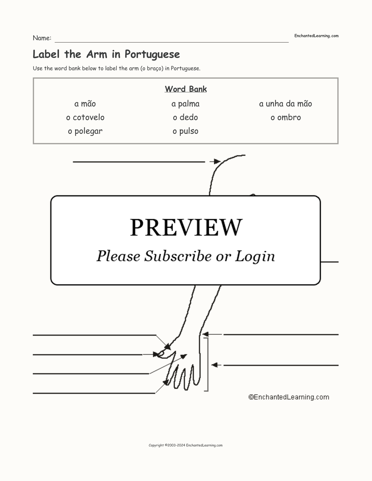 Label the Arm in Portuguese interactive worksheet page 1