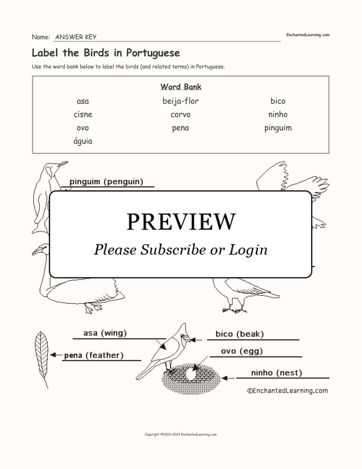 Label the Birds in Portuguese interactive worksheet page 2