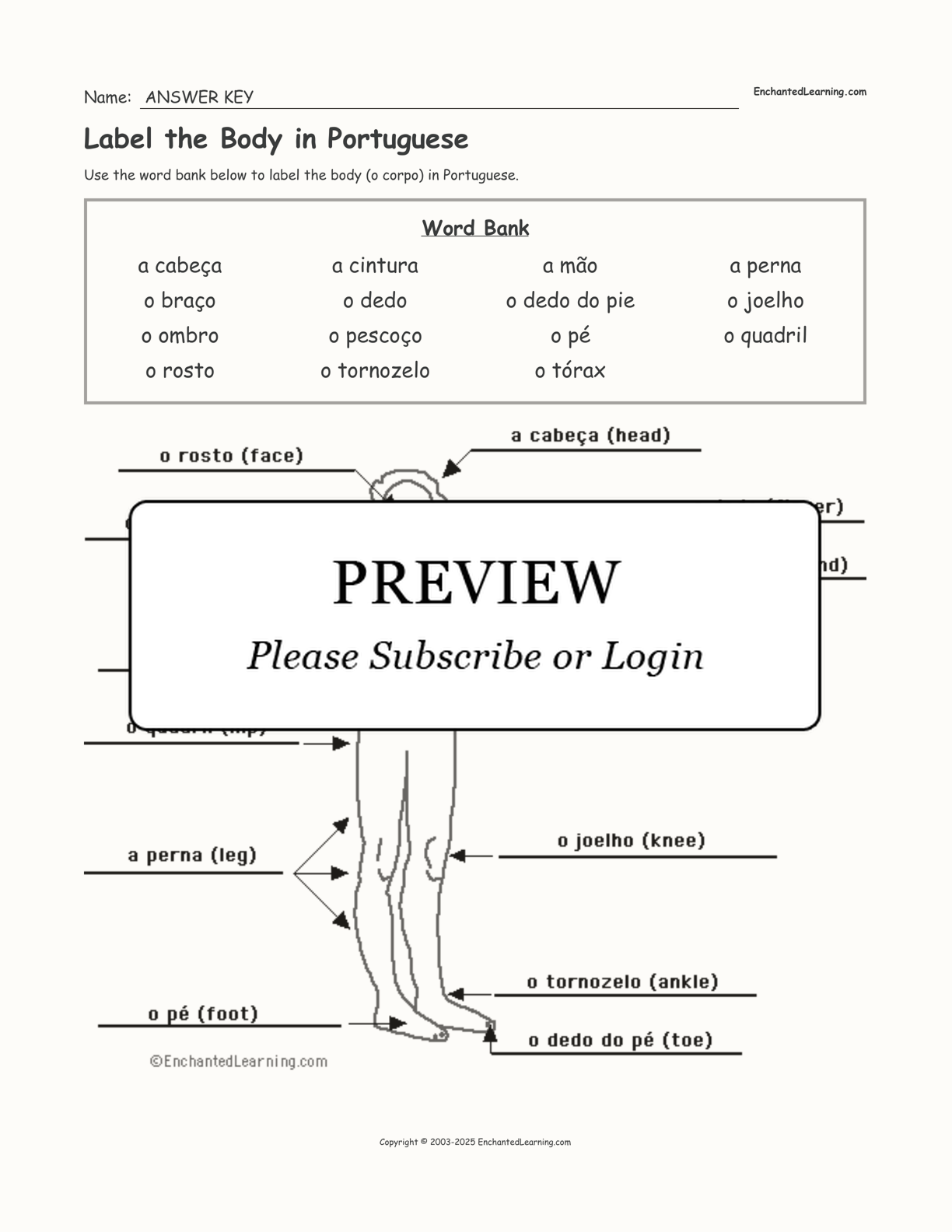 Label the Body in Portuguese interactive worksheet page 2