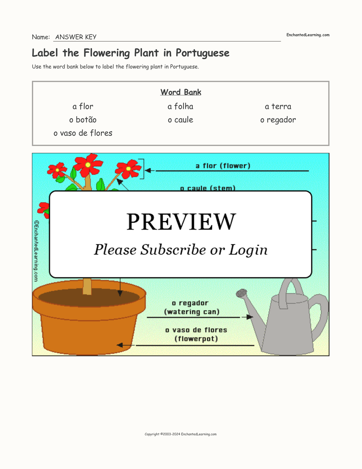 Label the Flowering Plant in Portuguese interactive worksheet page 2