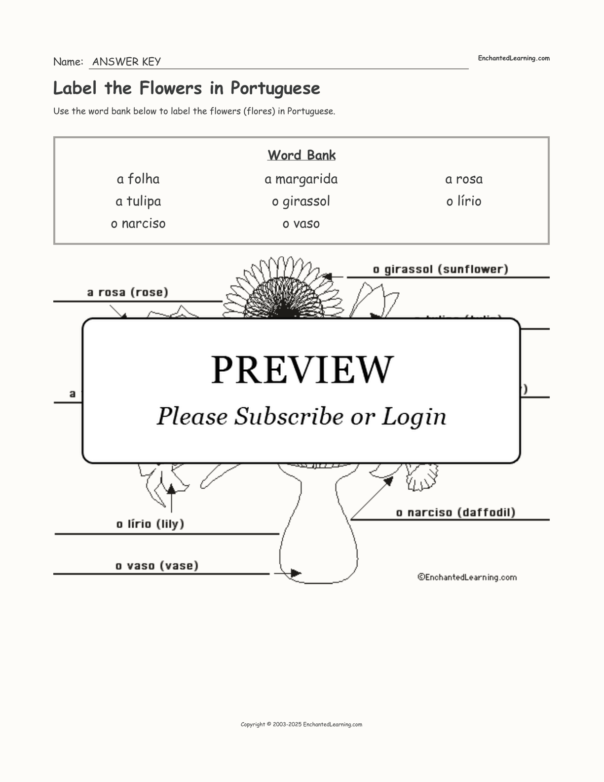 Label the Flowers in Portuguese interactive worksheet page 2