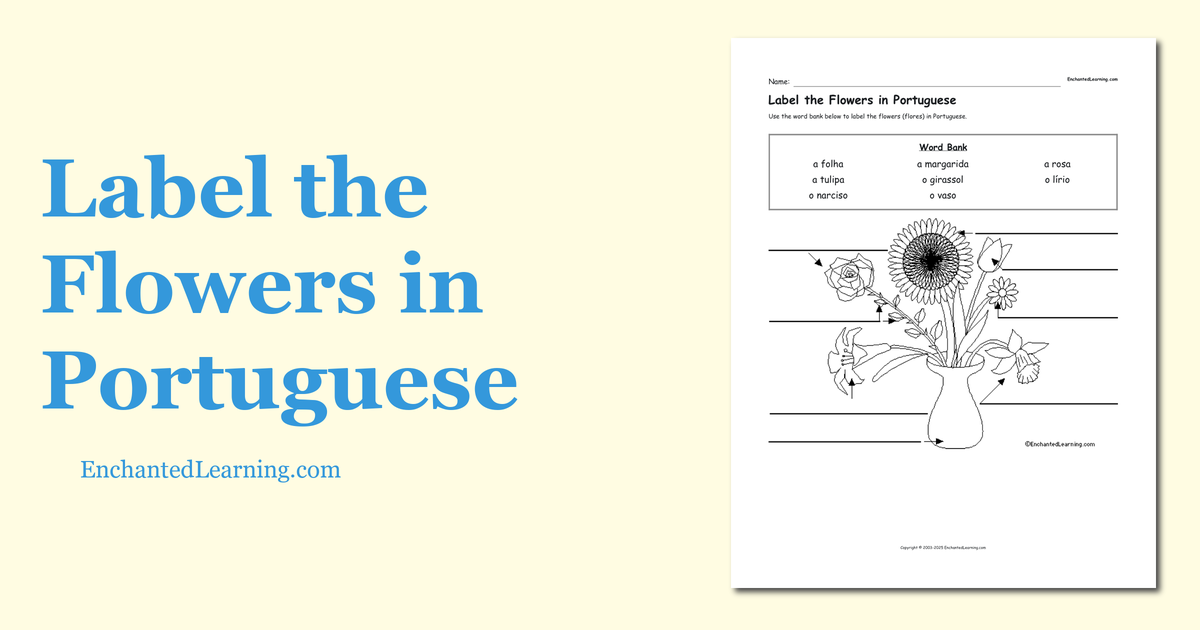 Label the Flowers in Portuguese Enchanted Learning