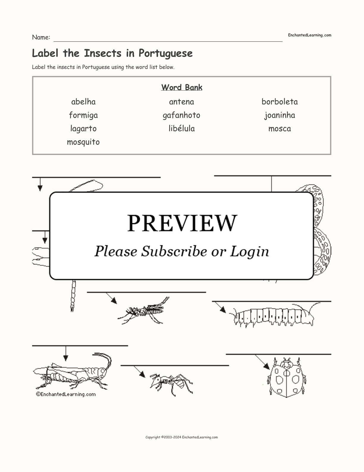 Label the Insects in Portuguese interactive worksheet page 1