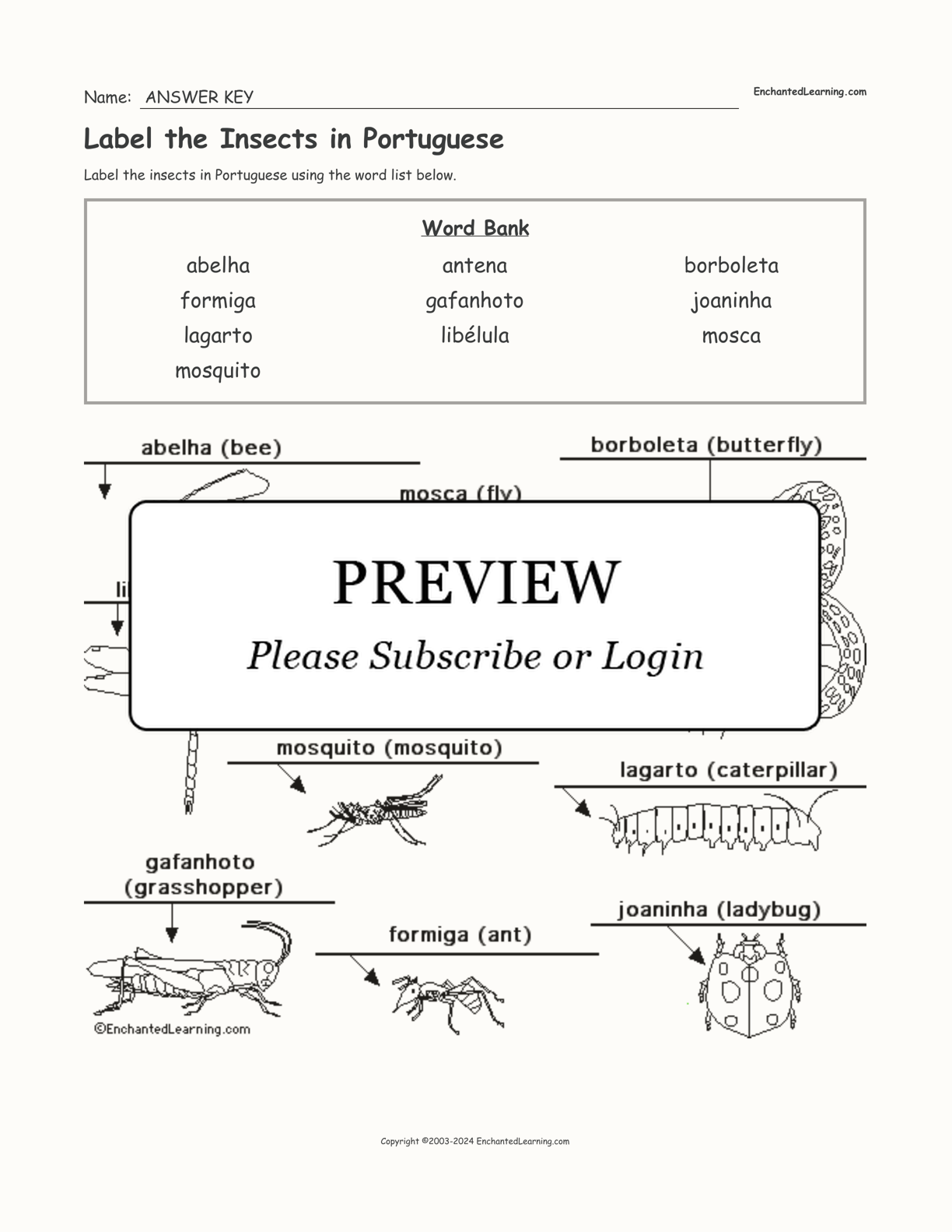 Label the Insects in Portuguese interactive worksheet page 2