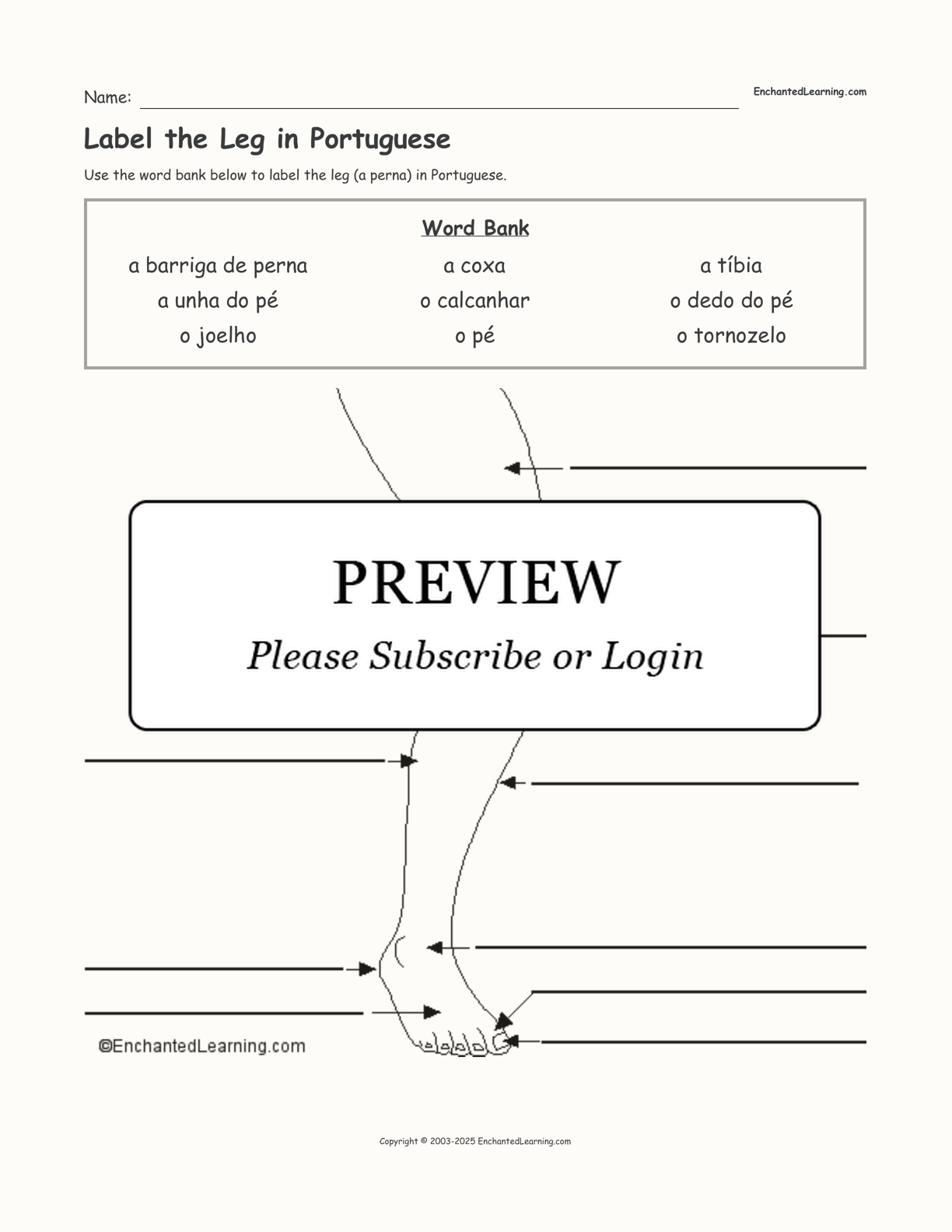 Label the Leg in Portuguese interactive worksheet page 1