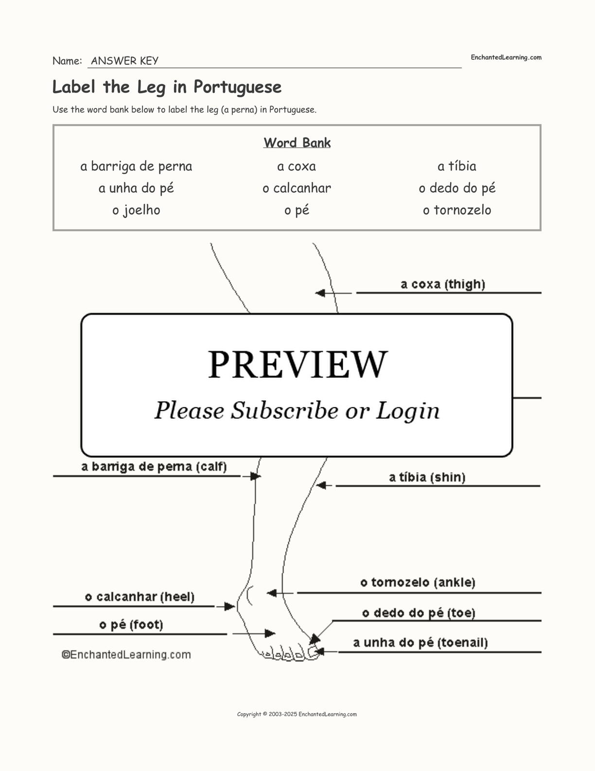 Label the Leg in Portuguese interactive worksheet page 2