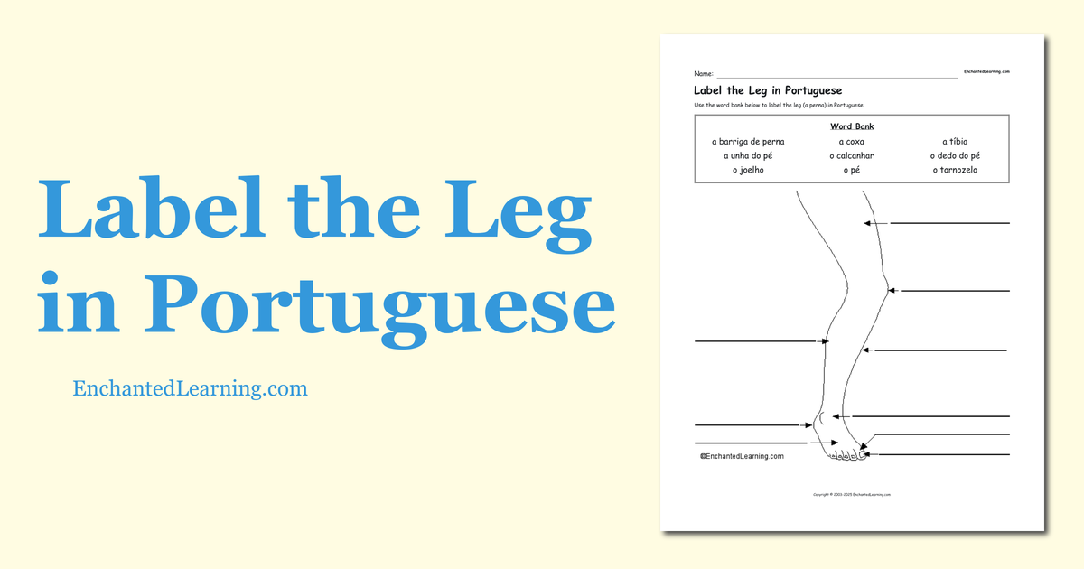 Label the Leg in Portuguese Enchanted Learning