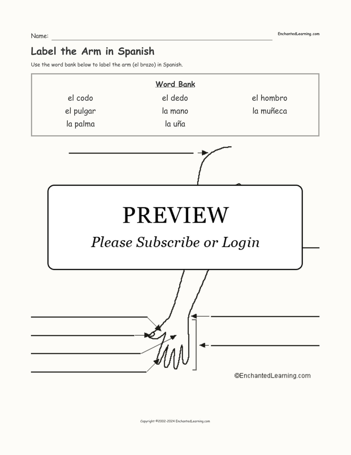 Label the Arm in Spanish interactive worksheet page 1