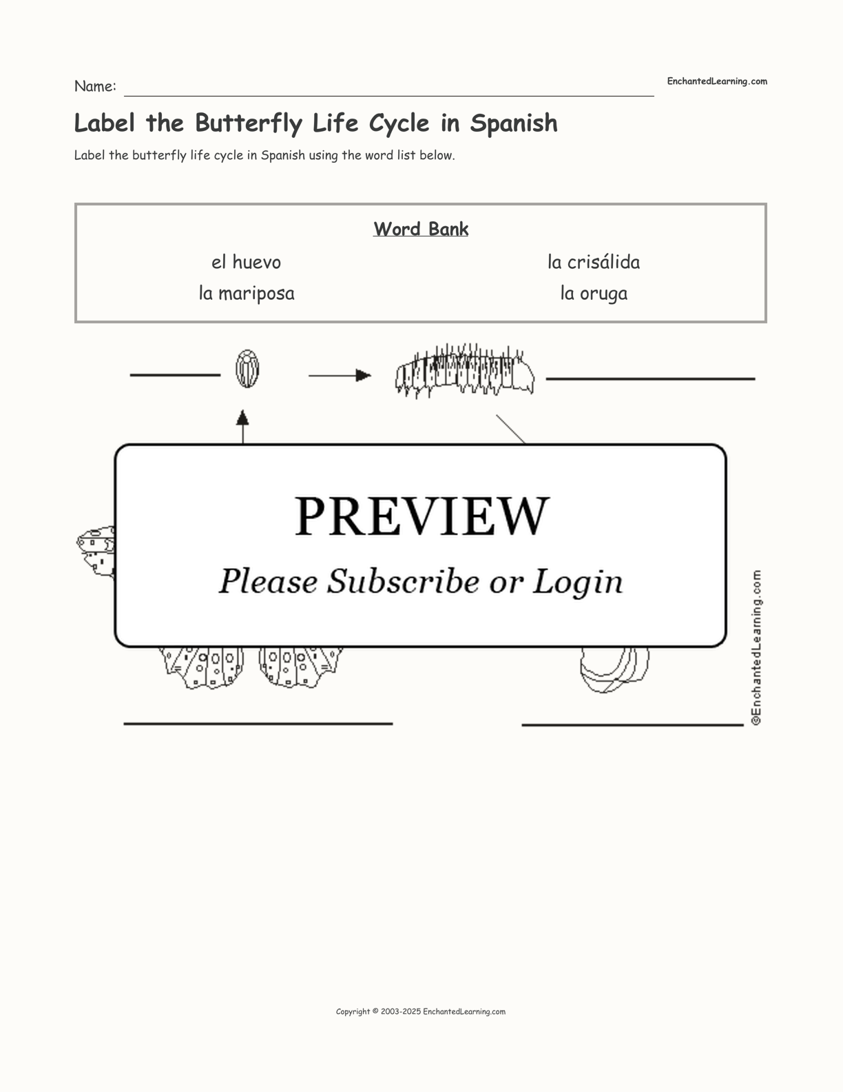 Label the Butterfly Life Cycle in Spanish interactive worksheet page 1