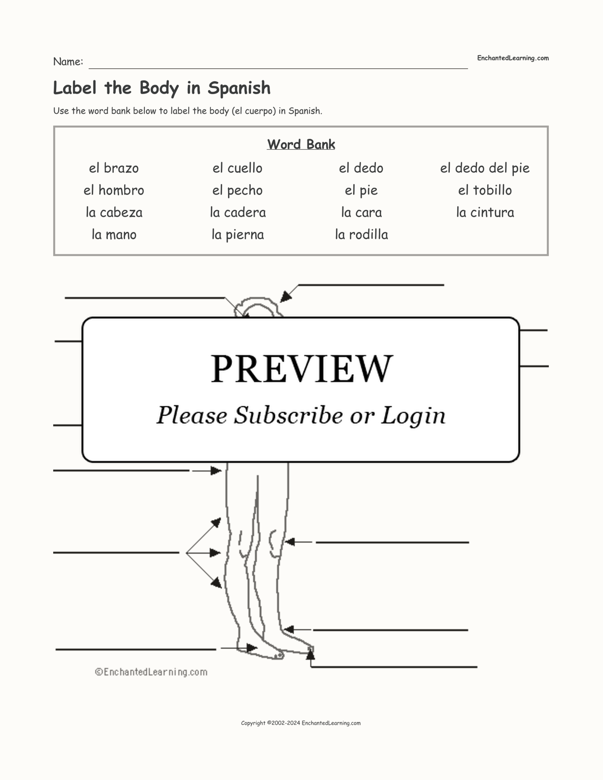 Label the Body in Spanish interactive worksheet page 1