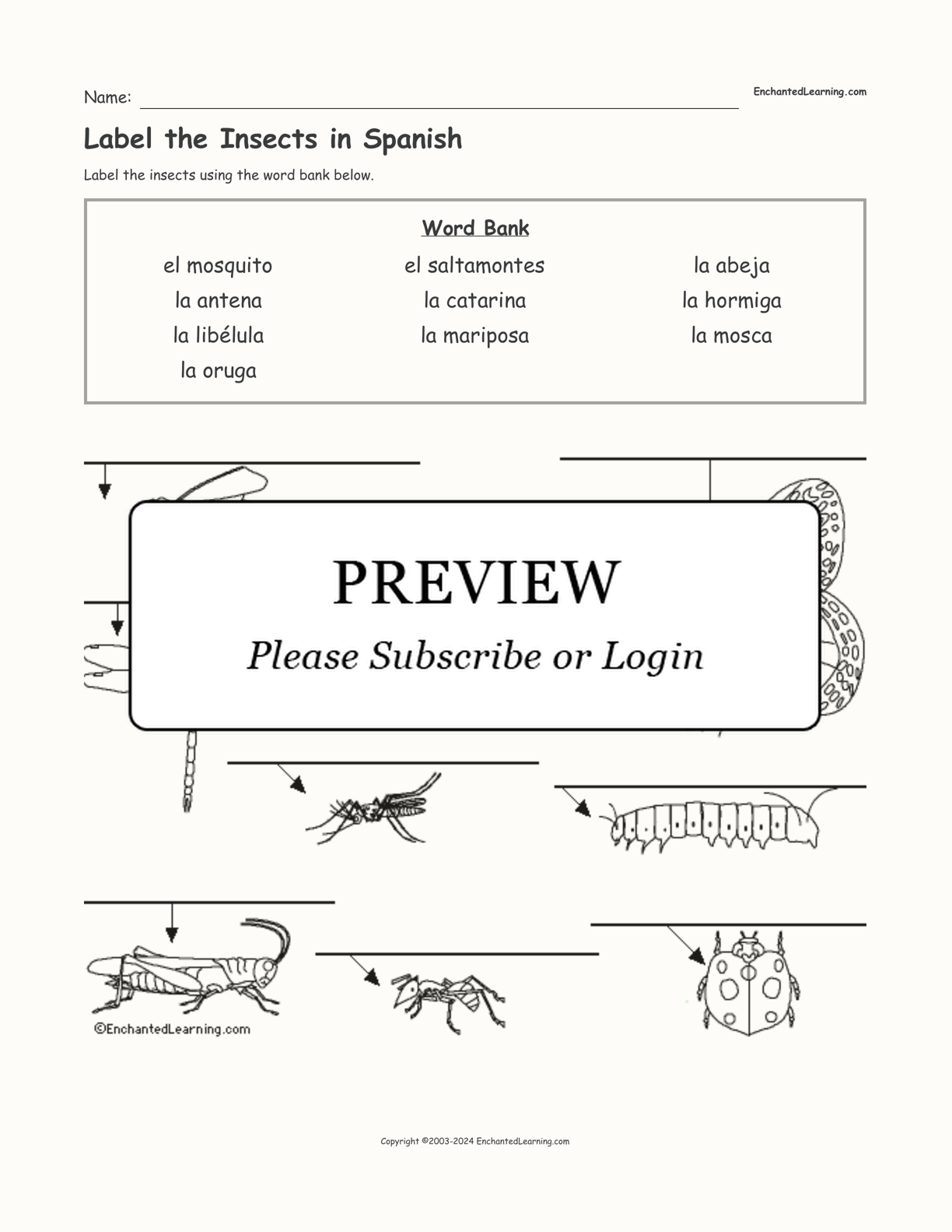 Label the Insects in Spanish interactive worksheet page 1