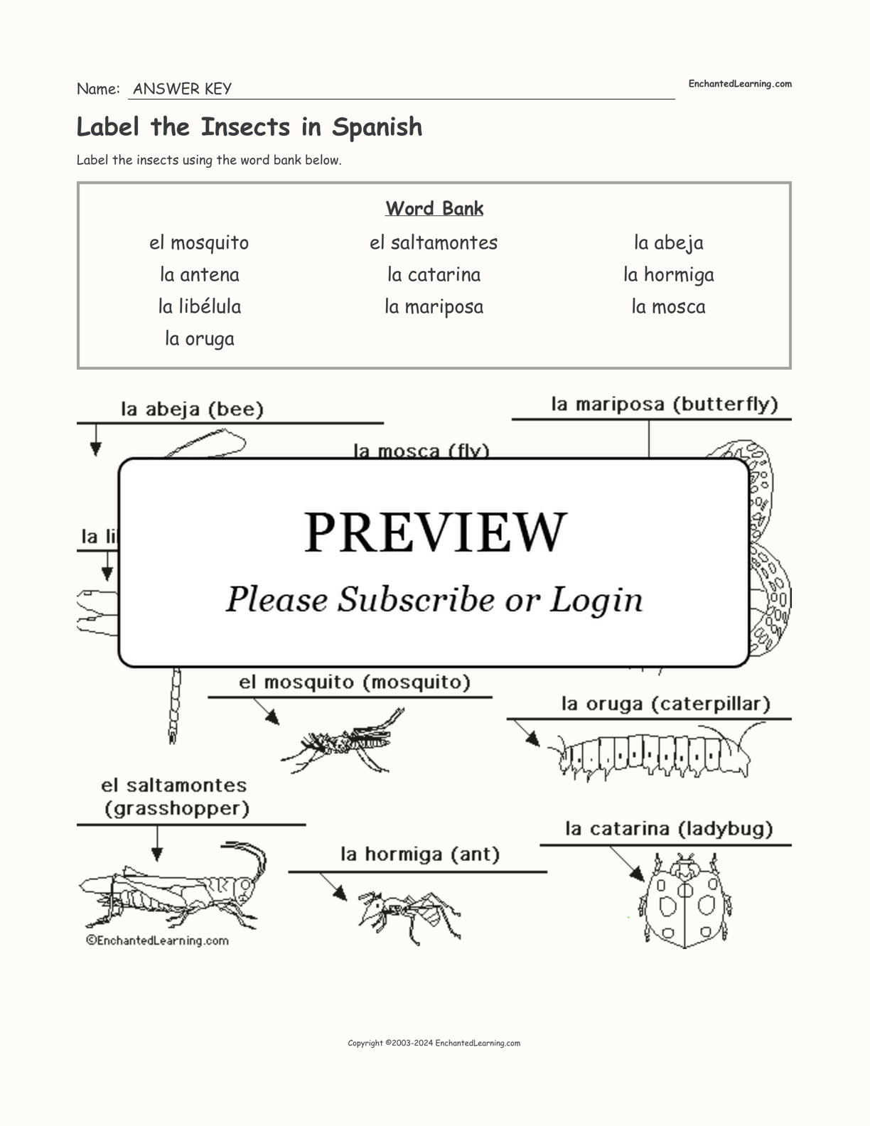 Label the Insects in Spanish interactive worksheet page 2