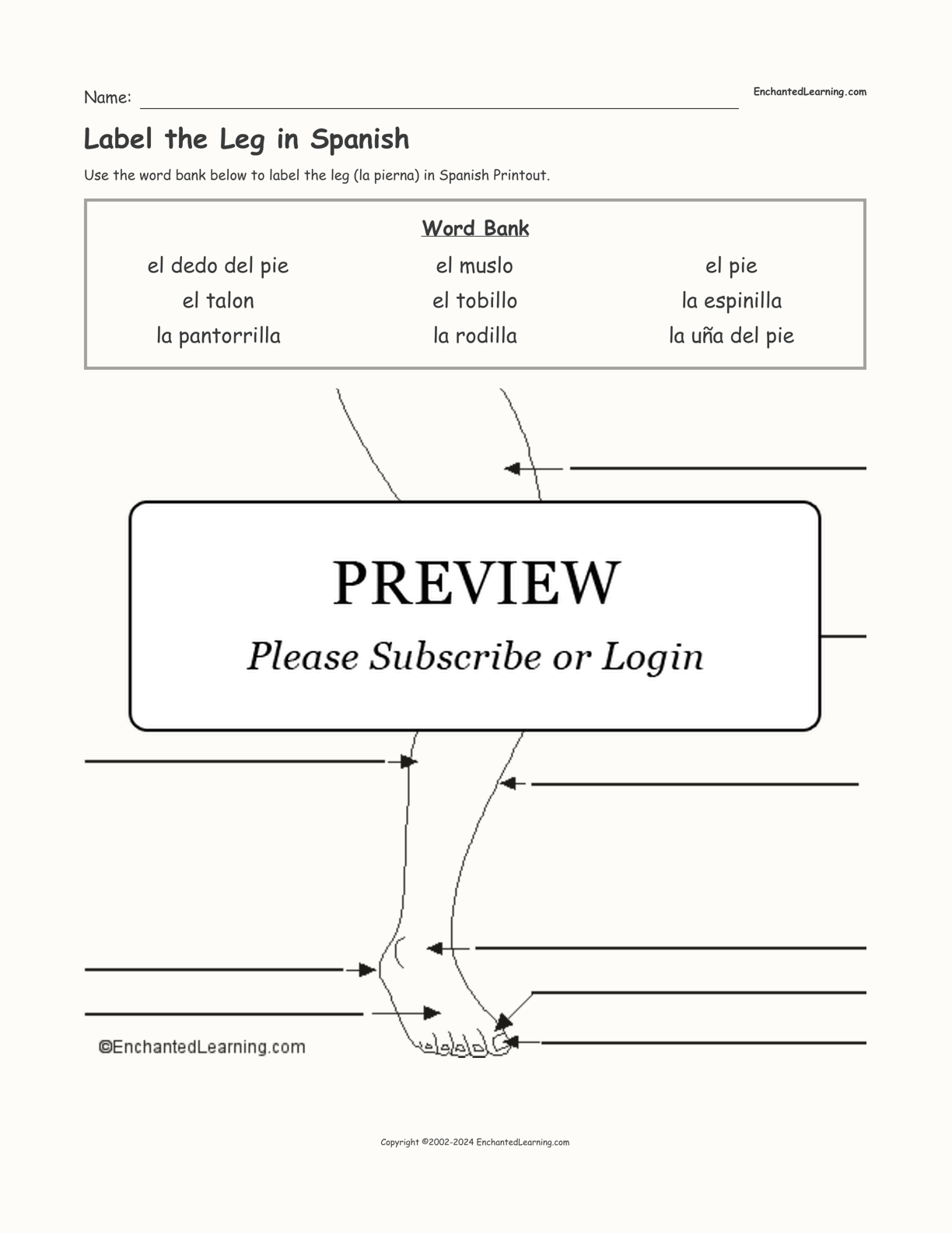 Label the Leg in Spanish interactive worksheet page 1