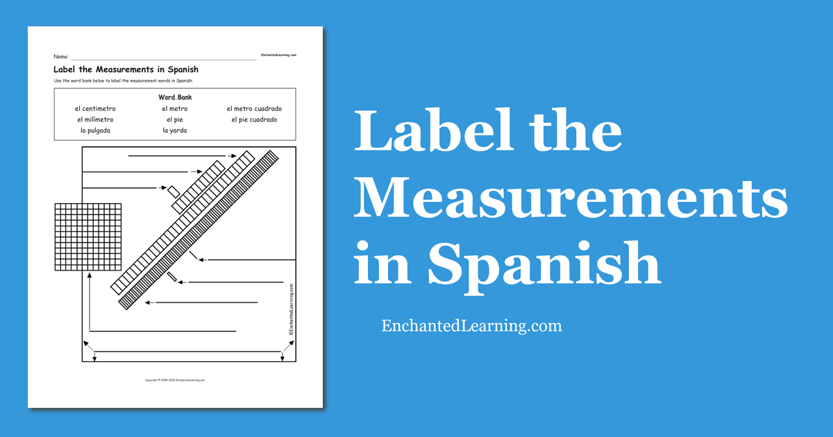 Label the Measurements in Spanish Enchanted Learning