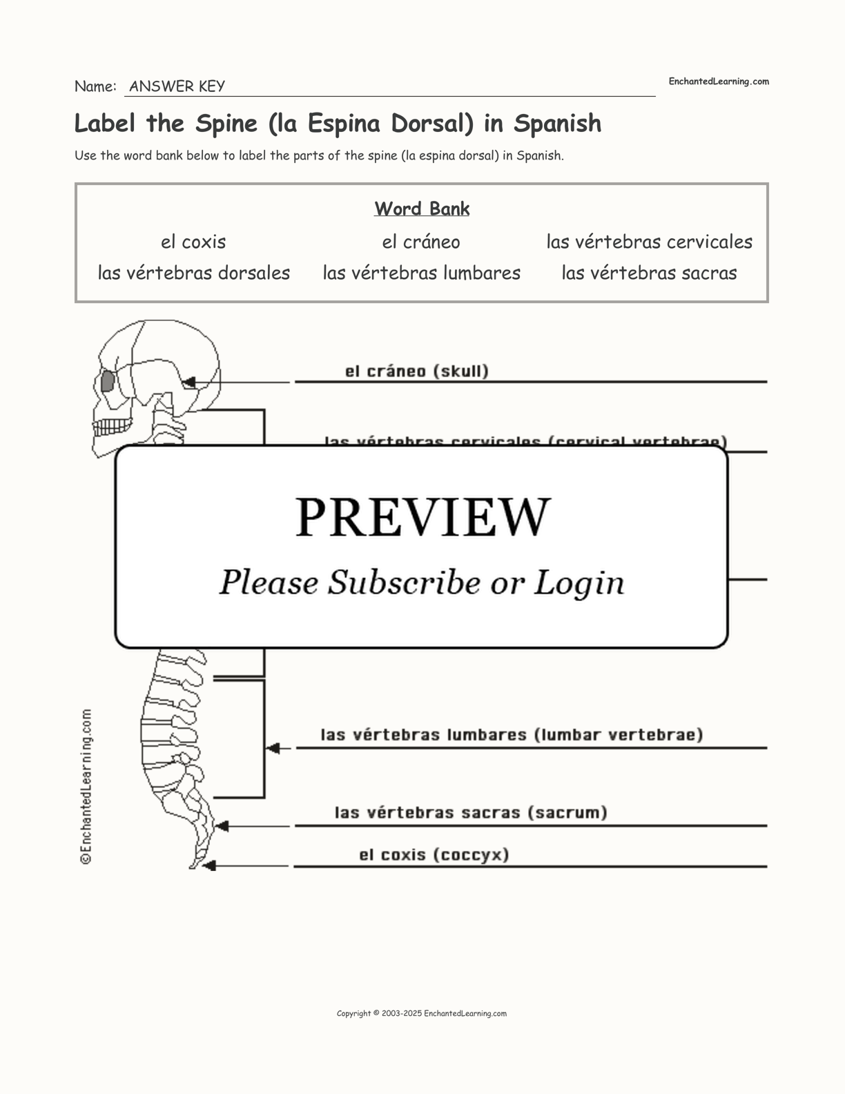 Label the Spine (la Espina Dorsal) in Spanish interactive worksheet page 2