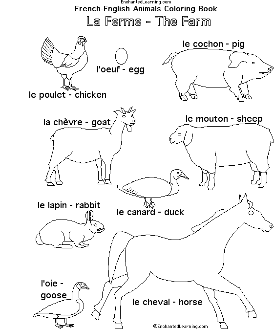 Farm Animals in French 
