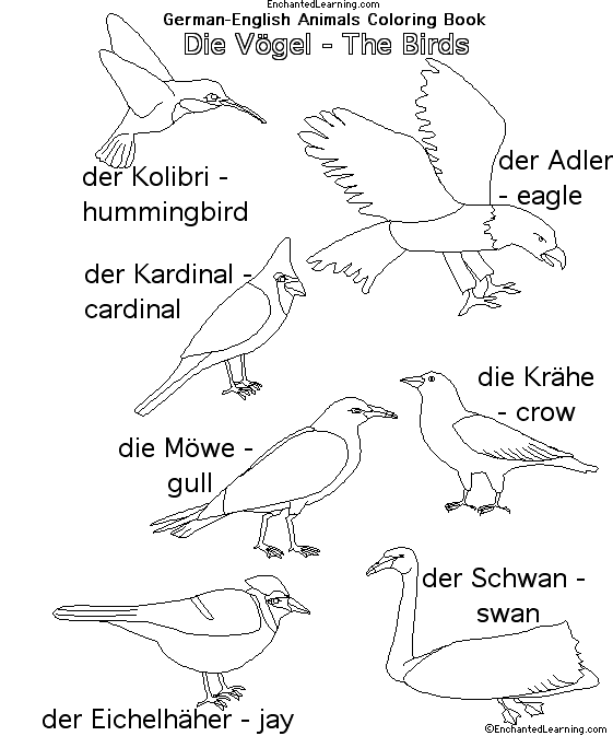 Search result: 'Animals in German:  Birds'