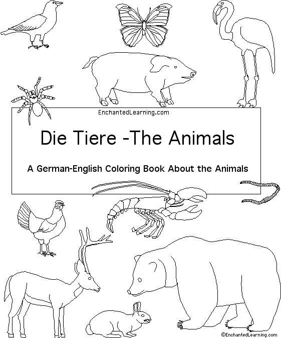 Search result: 'Animals in German:  Cover'
