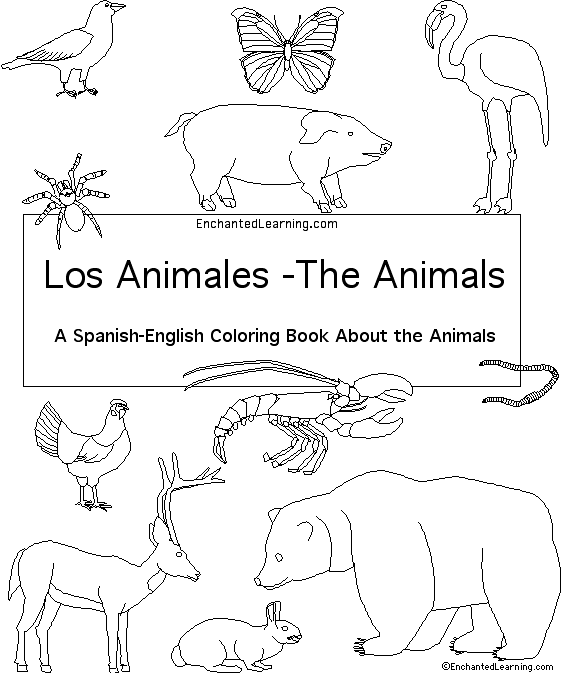 Search result: 'Animals in Spanish:  Cover'