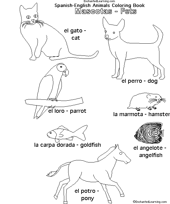 Animals in Spanish: Pets 