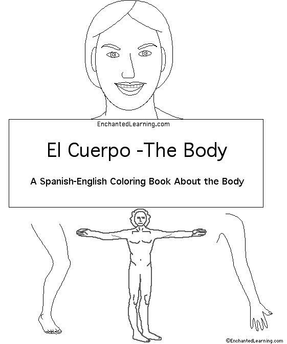 Search result: 'The Body in Spanish: Cover page'
