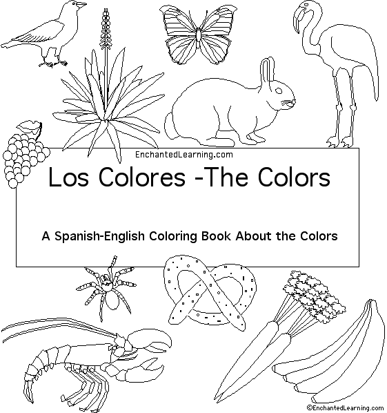 Search result: 'Colors in Spanish: Cover page'