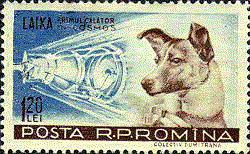 Laika