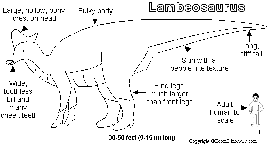 Lambeosaurus