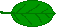 A leaf