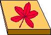 A leaf on a flat surface.