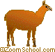 Llama