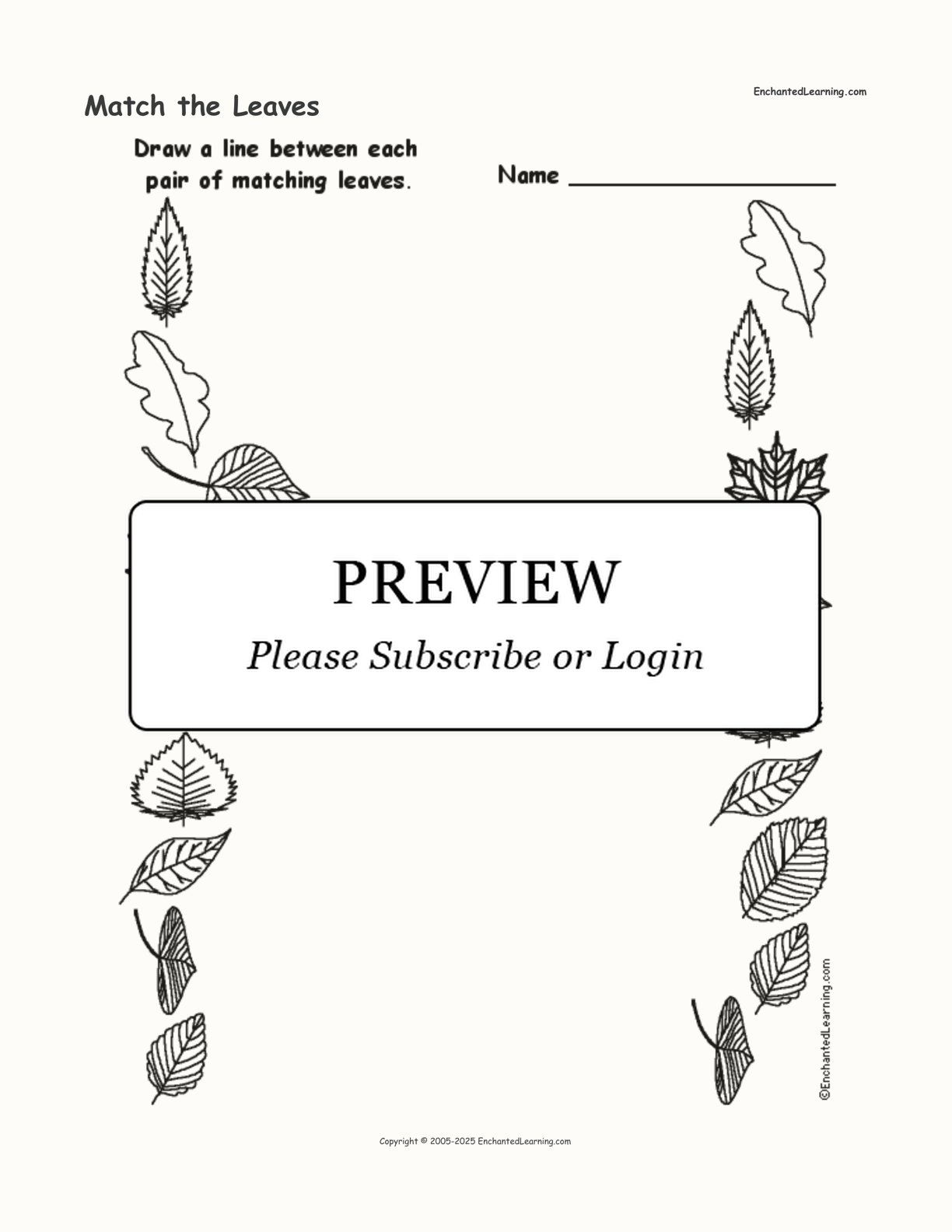 Match the Leaves interactive worksheet page 1