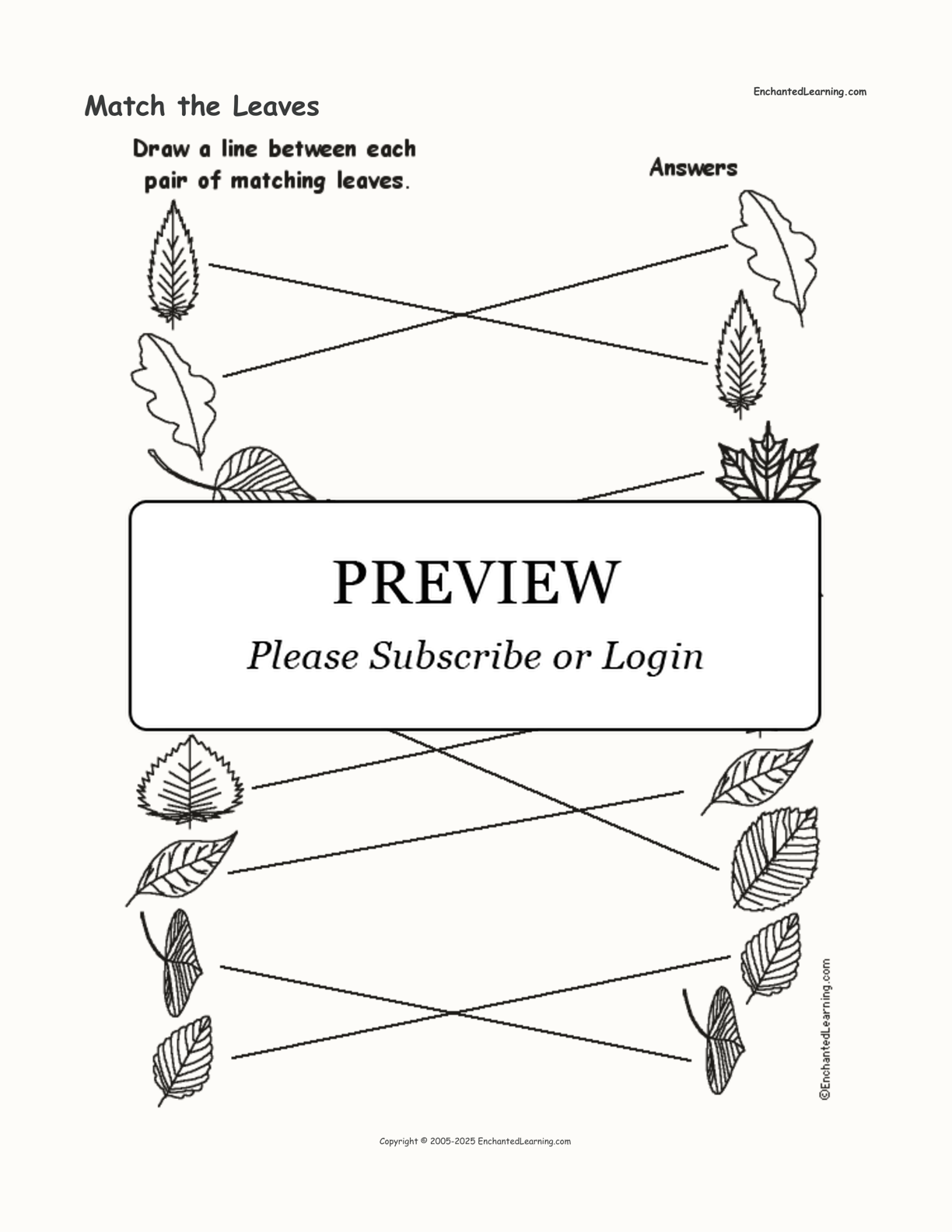 Match the Leaves interactive worksheet page 2