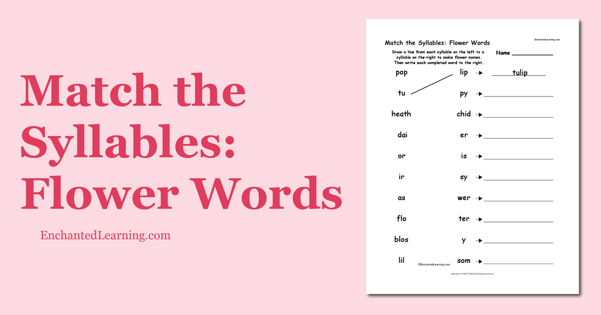 Match the Syllables Flower Words Enchanted Learning