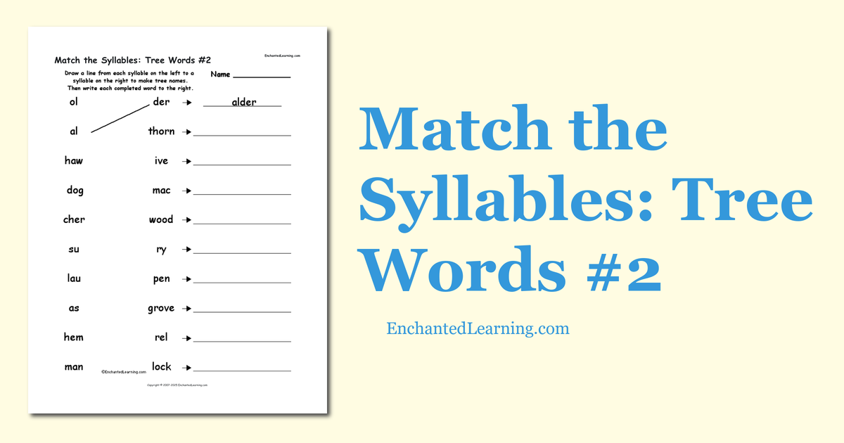 Match the Syllables Tree Words 2 Enchanted Learning