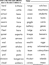 Search result: 'Match Collective Nouns to the Nouns They Relate To: Worksheet Printout'