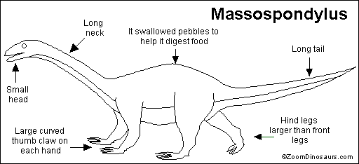 Search result: 'Massospondylus Printout'