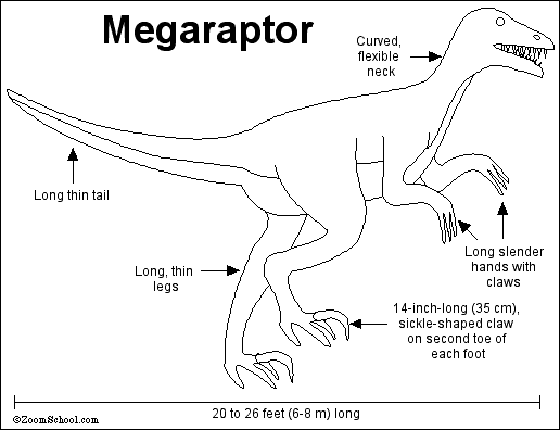 Megaraptor