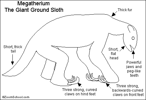 Search result: 'Megatherium Printout'