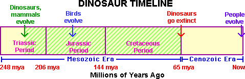 Dinosaur timeline