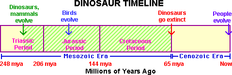 Mesozoic Era Chart