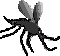 Mosquito