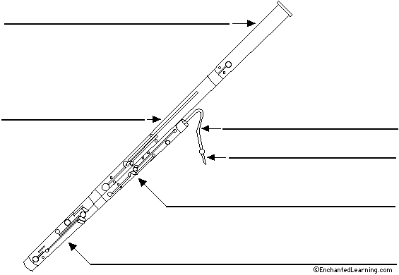 Search result: 'Label the Bassoon Printout'