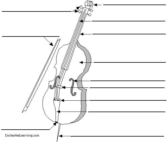 Label the cello