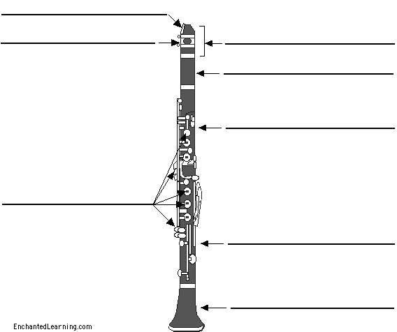 Label the clarinet
