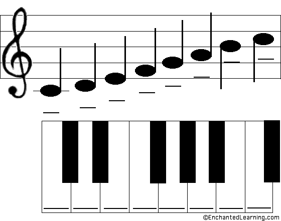 Label the C Major Scale