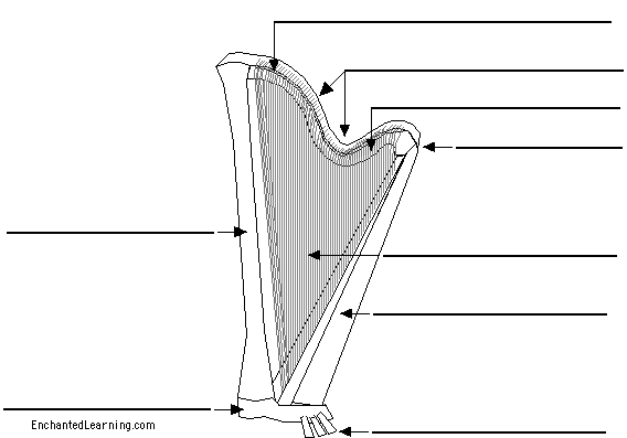 Label the harp
