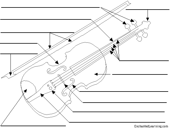 Search result: 'Label the Viola Printout'