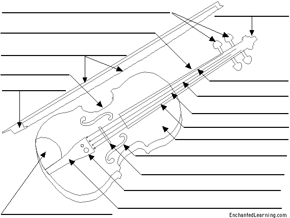 Label the violin